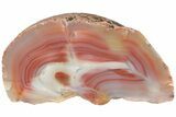 Colorful, Polished Patagonia Agate - Highly Fluorescent! #214919-1
